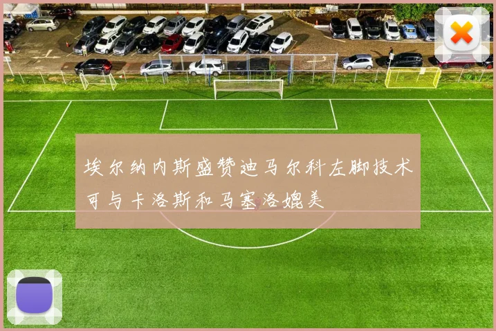 埃尔纳内斯盛赞迪马尔科左脚技术可与卡洛斯和马塞洛媲美