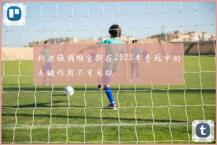 科尔强调维金斯在2022年夺冠中的关键作用不可或缺