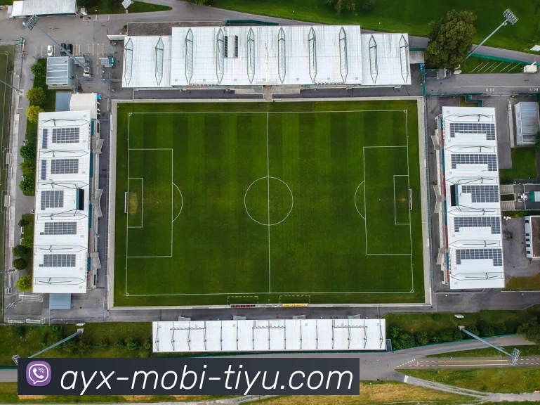 多媒体互动体验