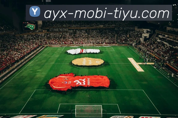 爱游戏APP 高清赛事图